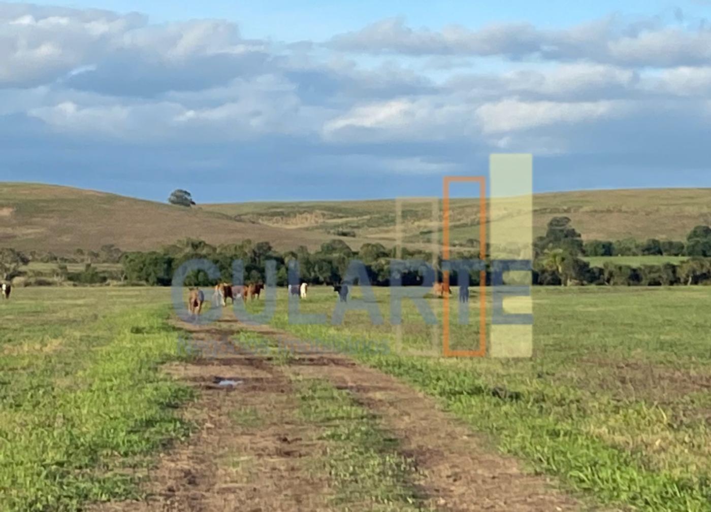 Fazenda à venda, 440m² - Foto 7