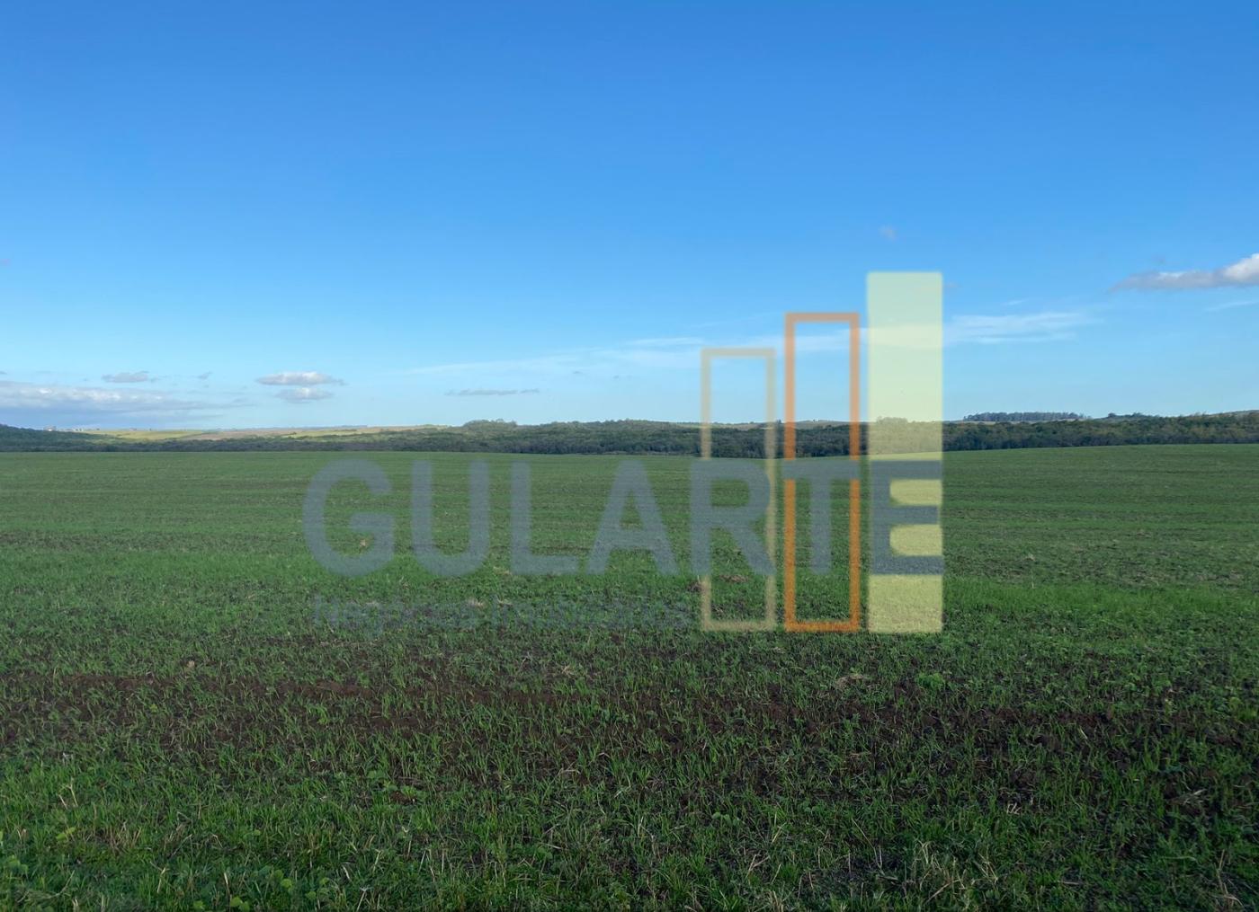 Fazenda à venda, 440m² - Foto 6