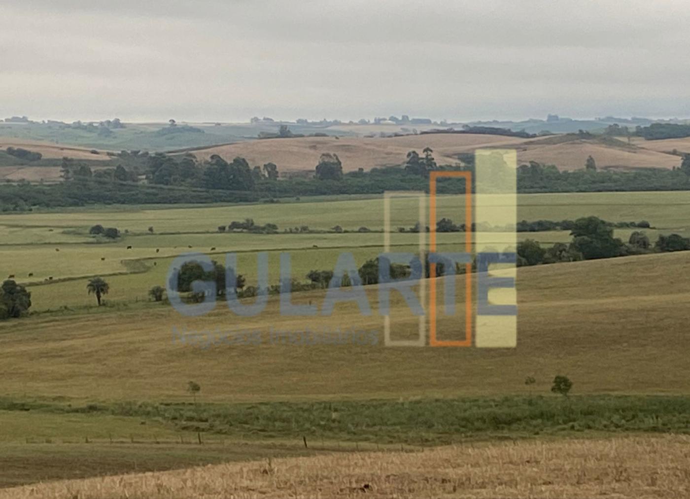 Fazenda à venda, 440m² - Foto 5