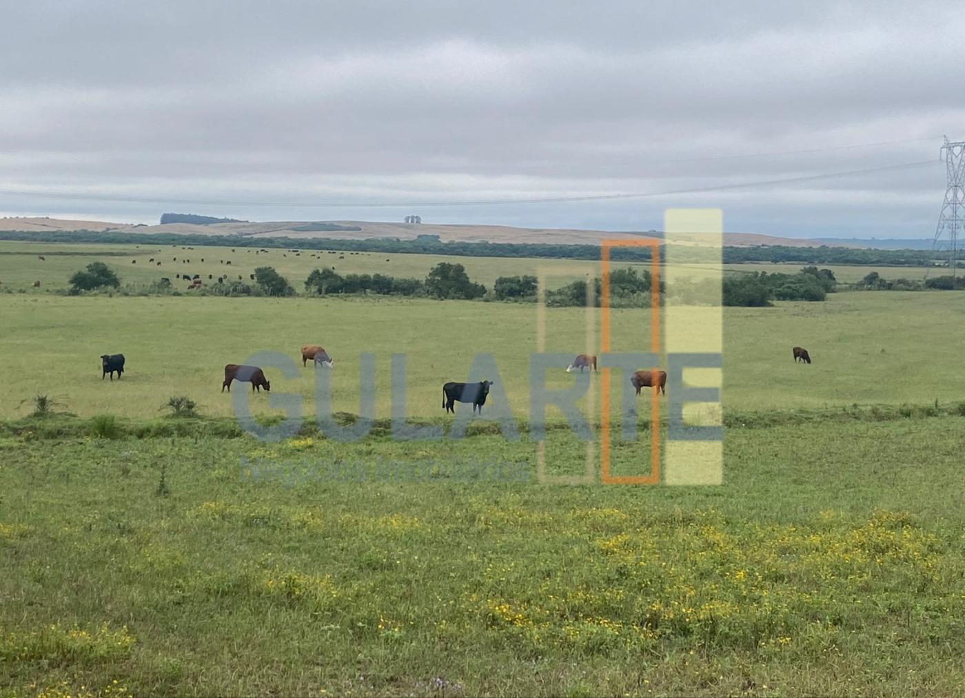 Fazenda à venda, 440m² - Foto 4