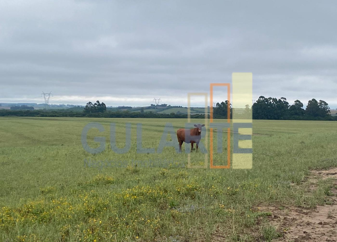 Fazenda à venda, 440m² - Foto 8