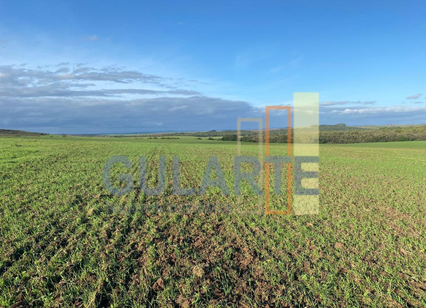 Fazenda à venda, 440m² - Foto 9
