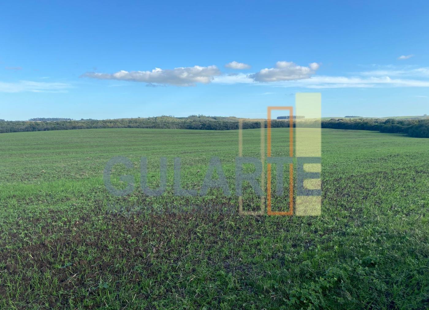 Fazenda à venda, 440m² - Foto 10