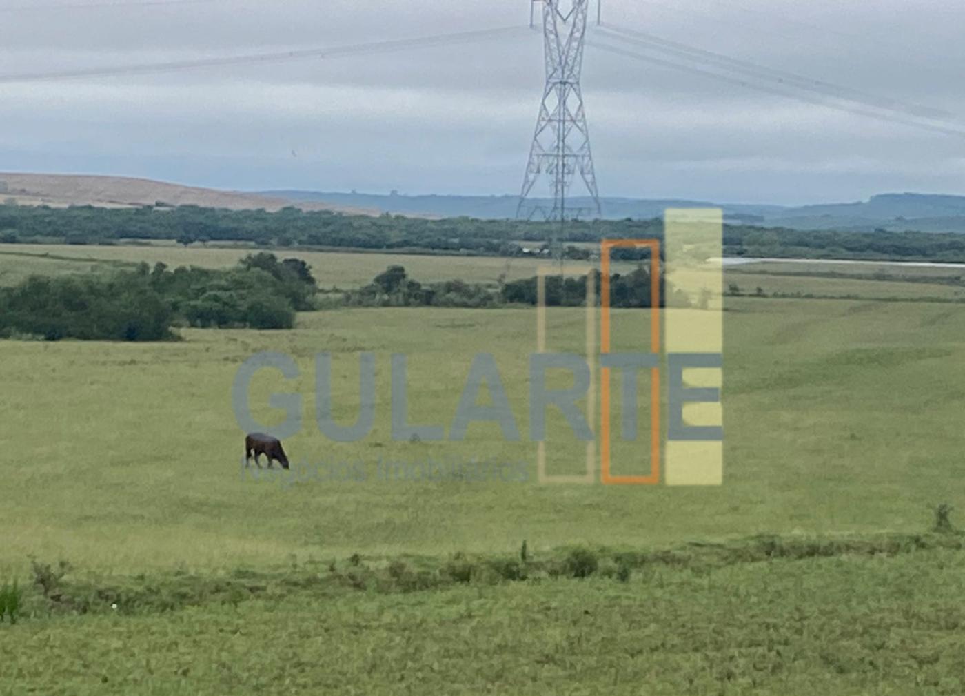 Fazenda à venda, 440m² - Foto 11