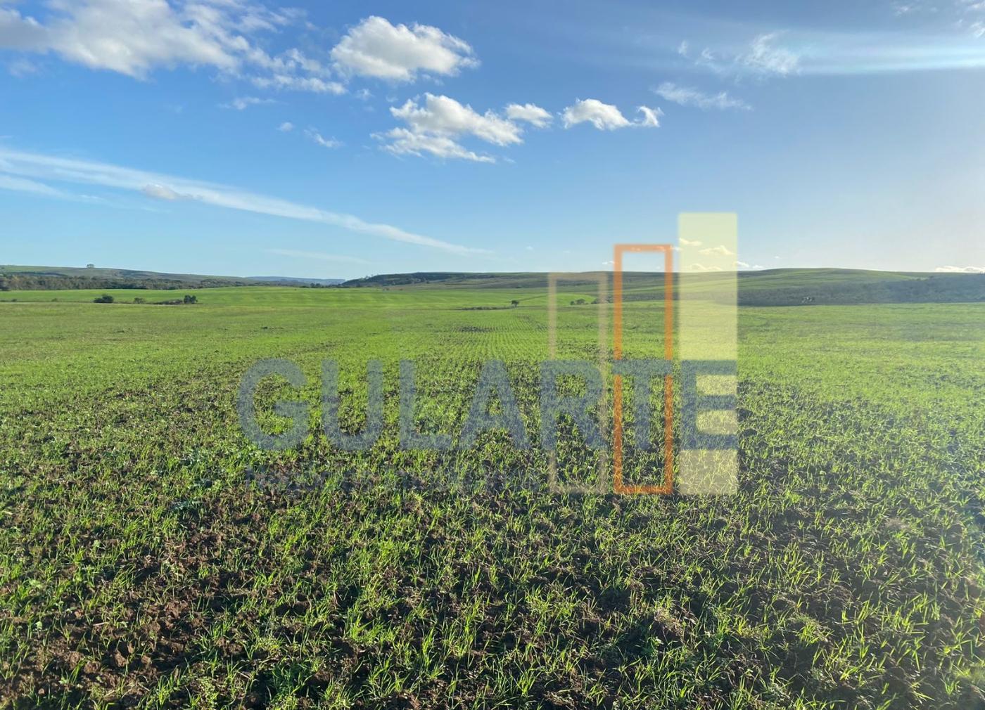 Fazenda à venda, 440m² - Foto 15