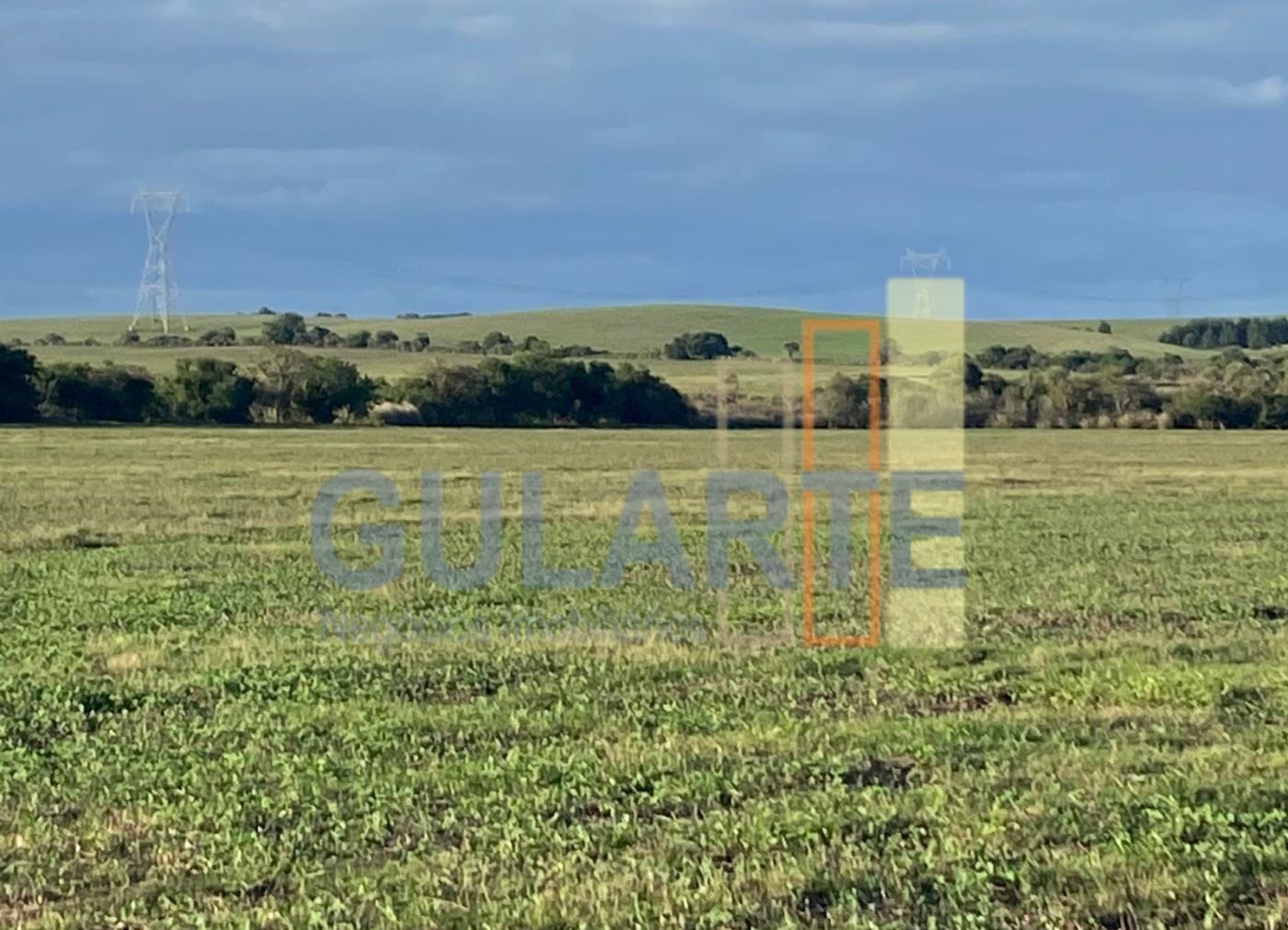 Fazenda à venda, 440m² - Foto 14