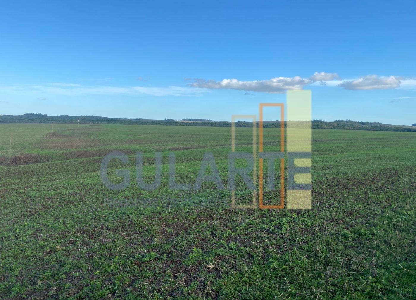Fazenda à venda, 440m² - Foto 17