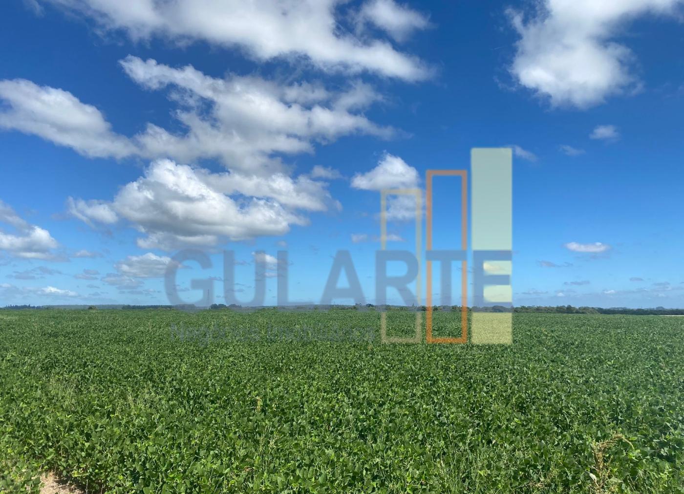 Fazenda à venda, 640m² - Foto 3