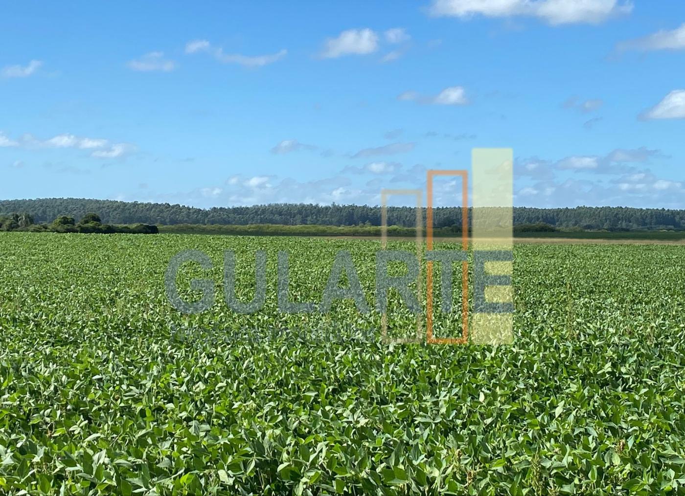Fazenda à venda, 640m² - Foto 1