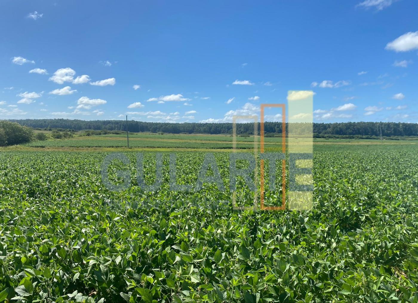 Fazenda à venda, 640m² - Foto 5