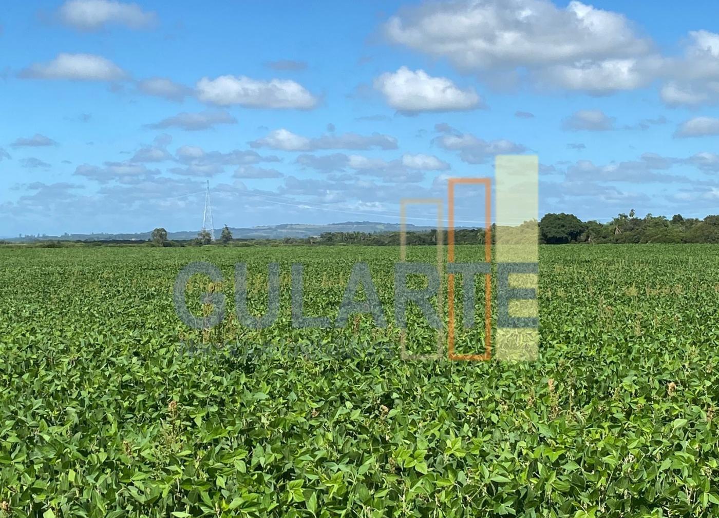 Fazenda à venda, 640m² - Foto 4