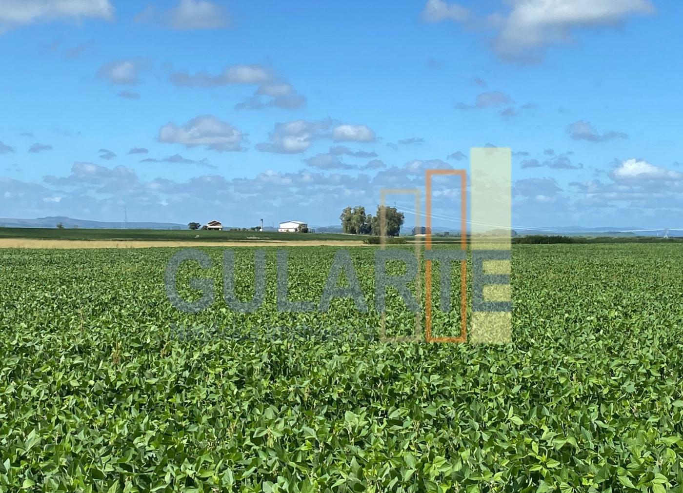 Fazenda à venda, 640m² - Foto 6