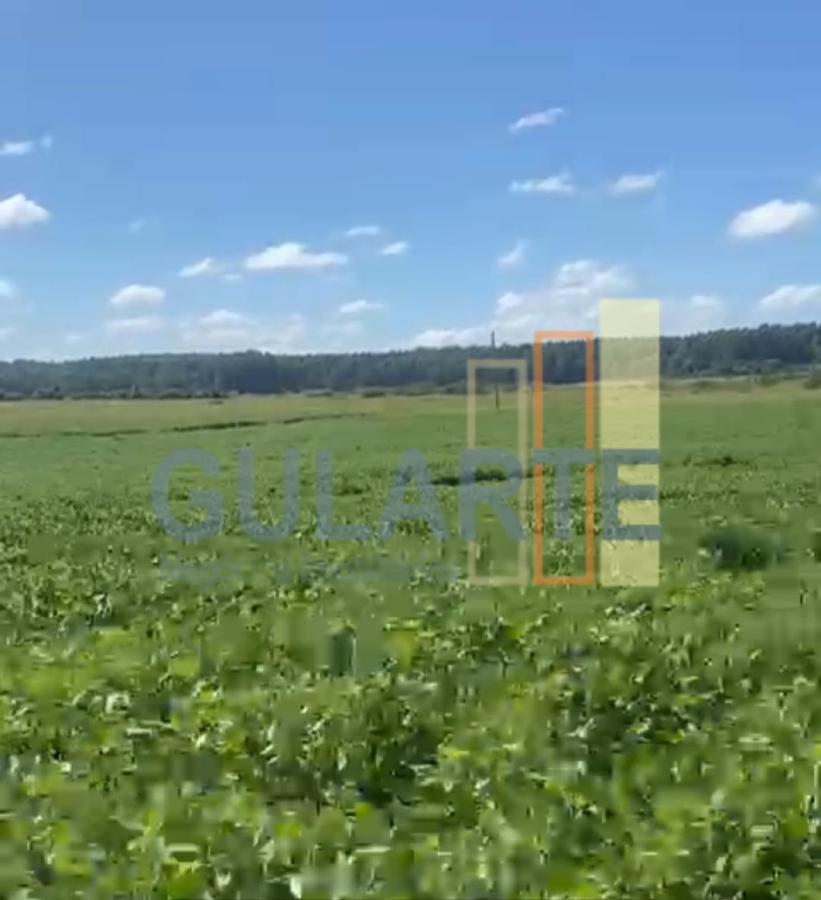 Fazenda à venda, 640m² - Foto 9
