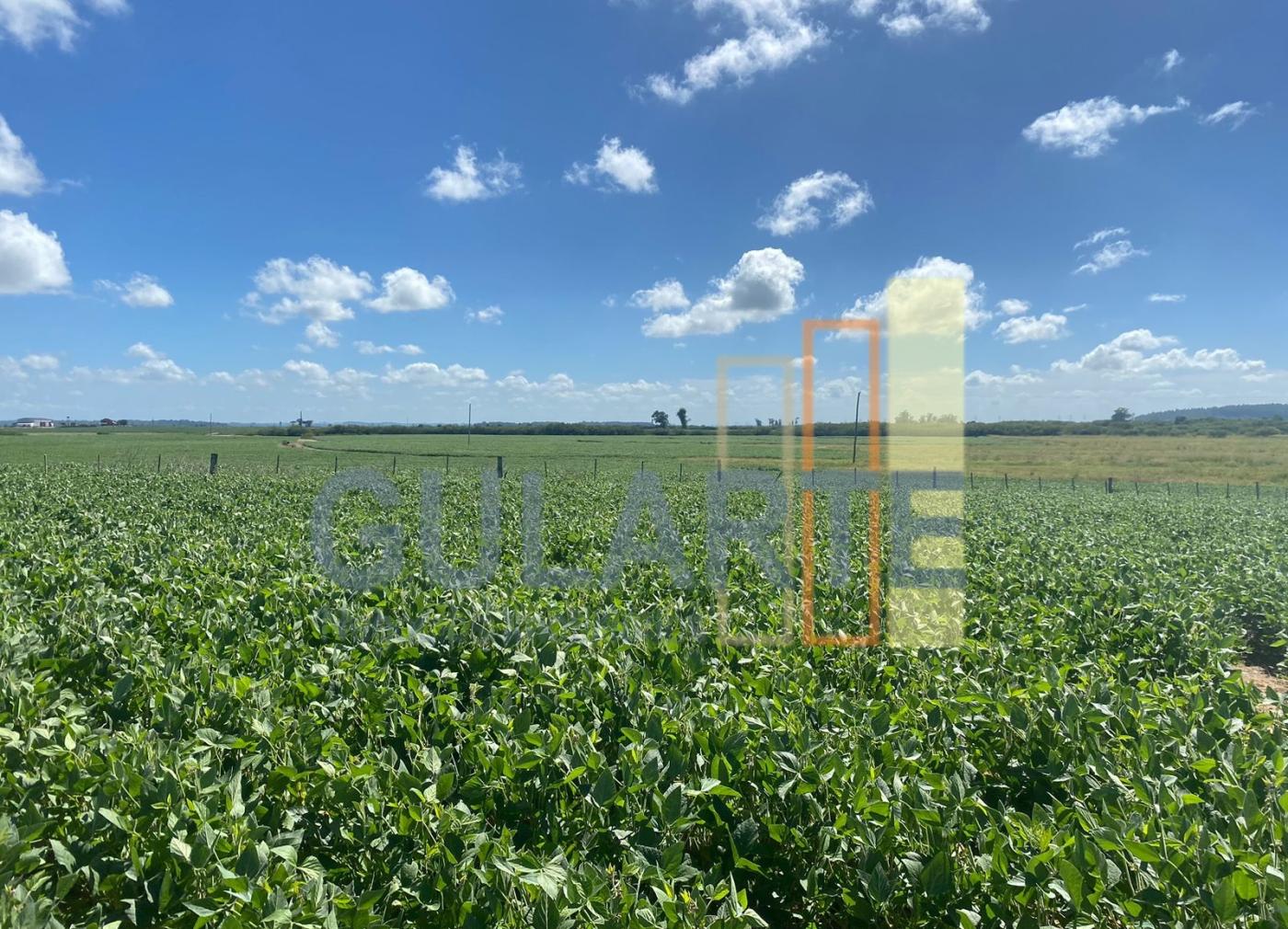 Fazenda à venda, 640m² - Foto 7