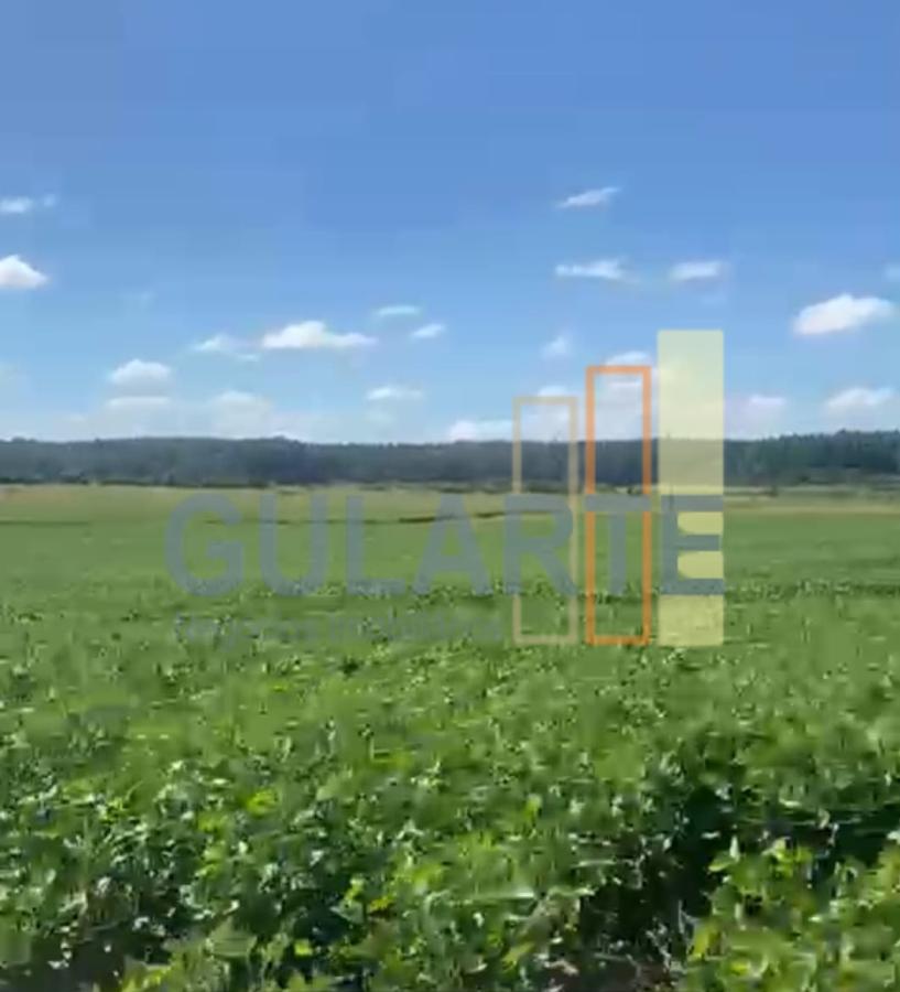 Fazenda à venda, 640m² - Foto 8