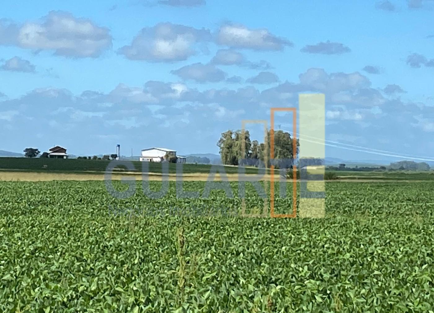 Fazenda à venda, 640m² - Foto 10
