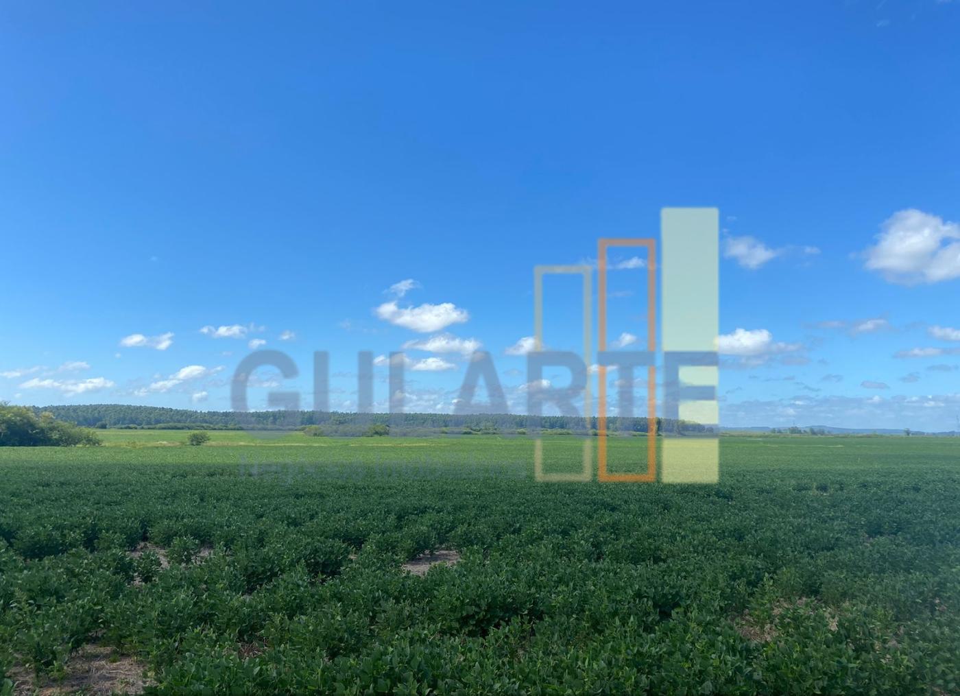 Fazenda à venda, 640m² - Foto 12