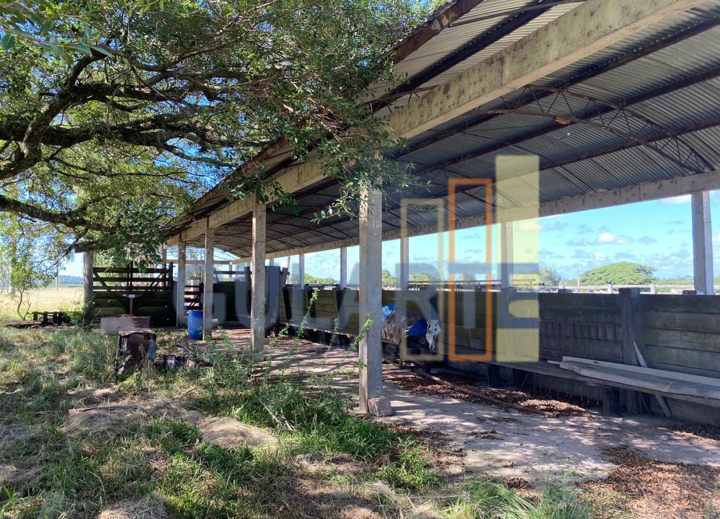 Fazenda à venda, 640m² - Foto 14