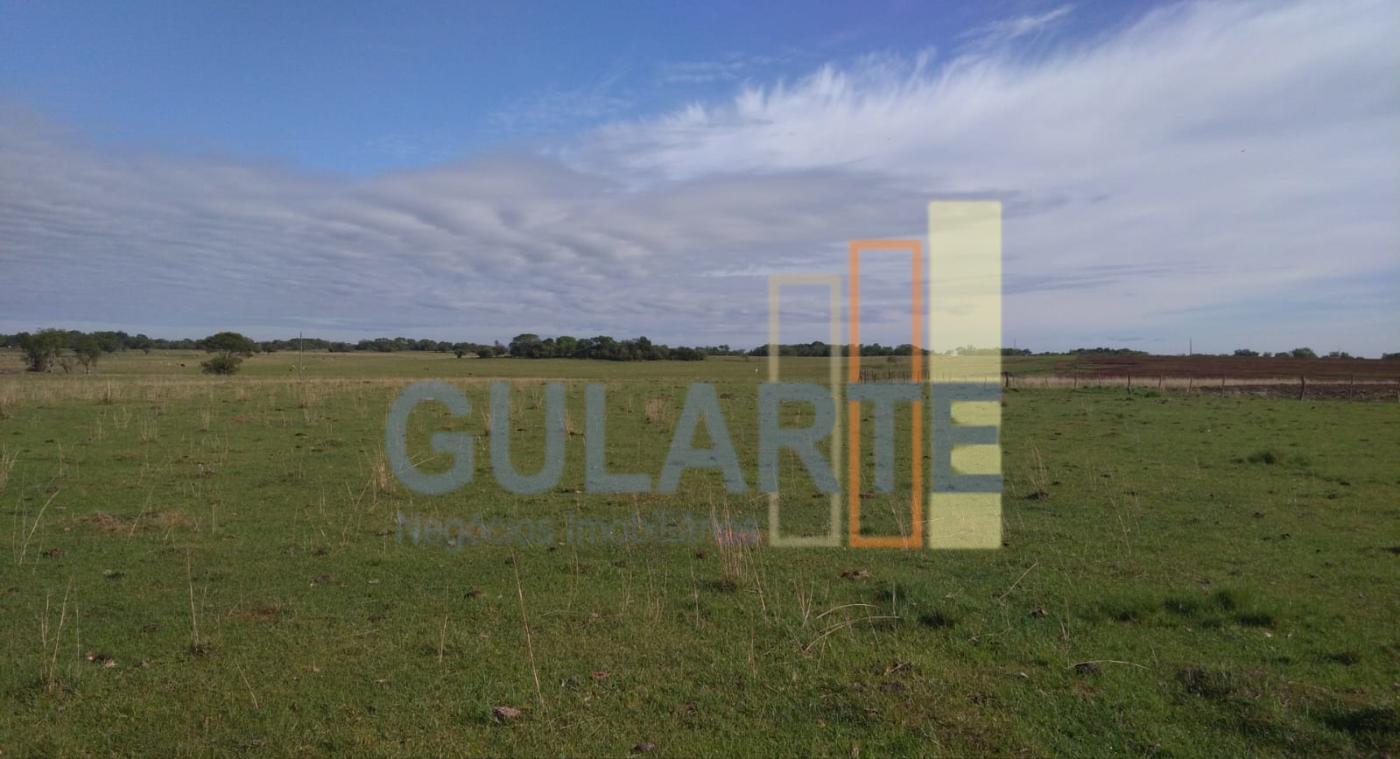 Fazenda, 1000 hectares - Foto 2