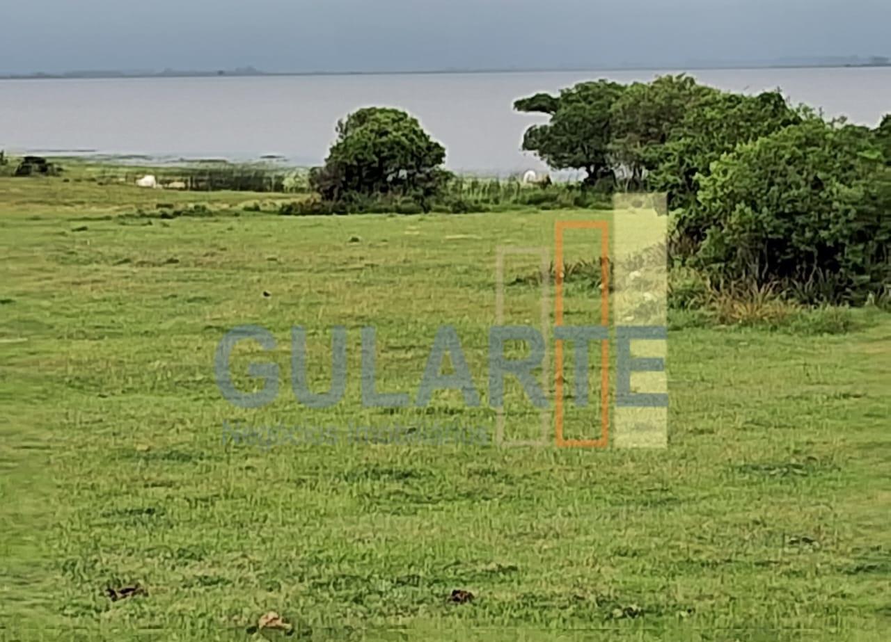 Fazenda, 1000 hectares - Foto 7