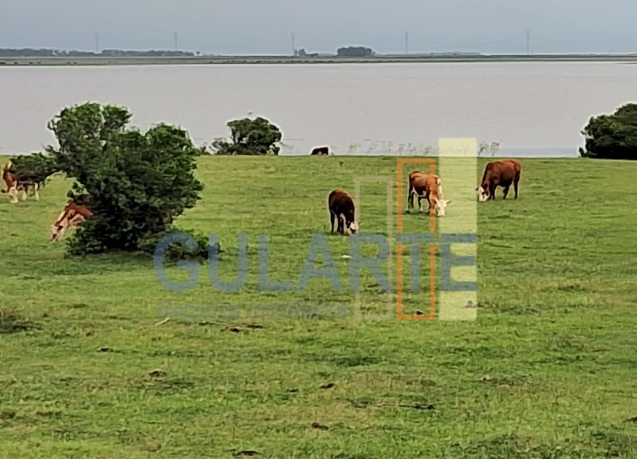 Fazenda, 1000 hectares - Foto 8