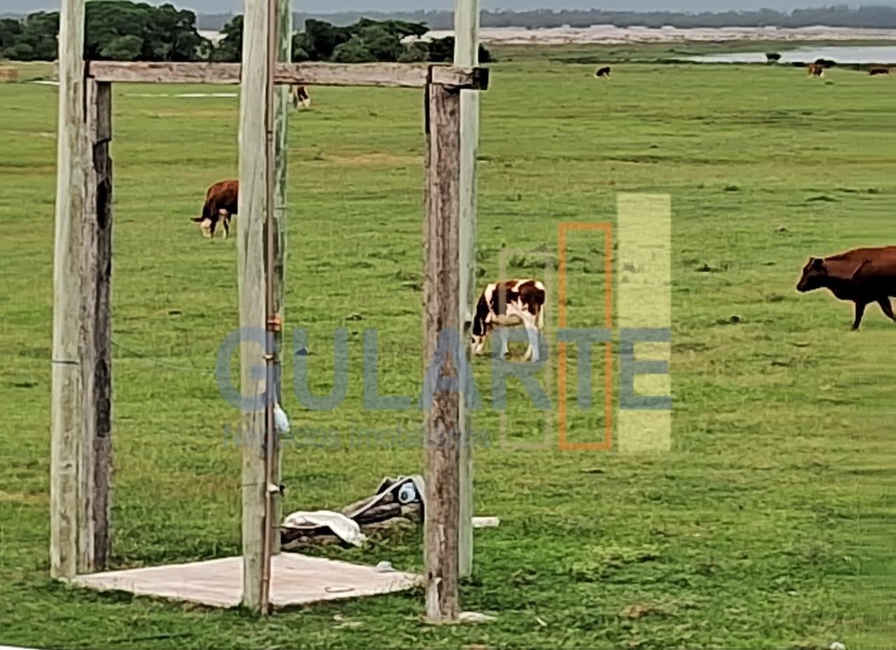 Fazenda, 1000 hectares - Foto 11