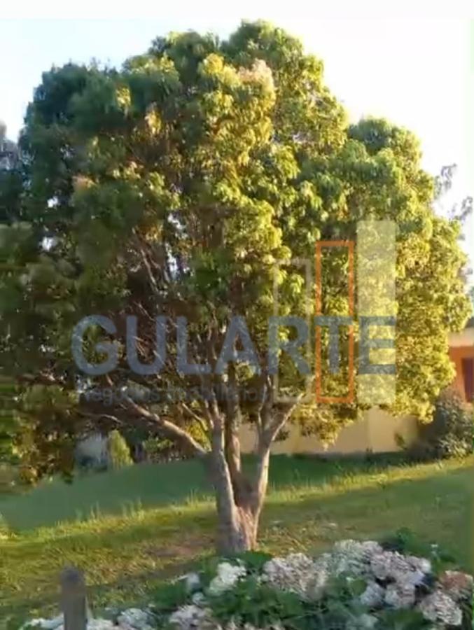 Fazenda à venda, 20m² - Foto 7