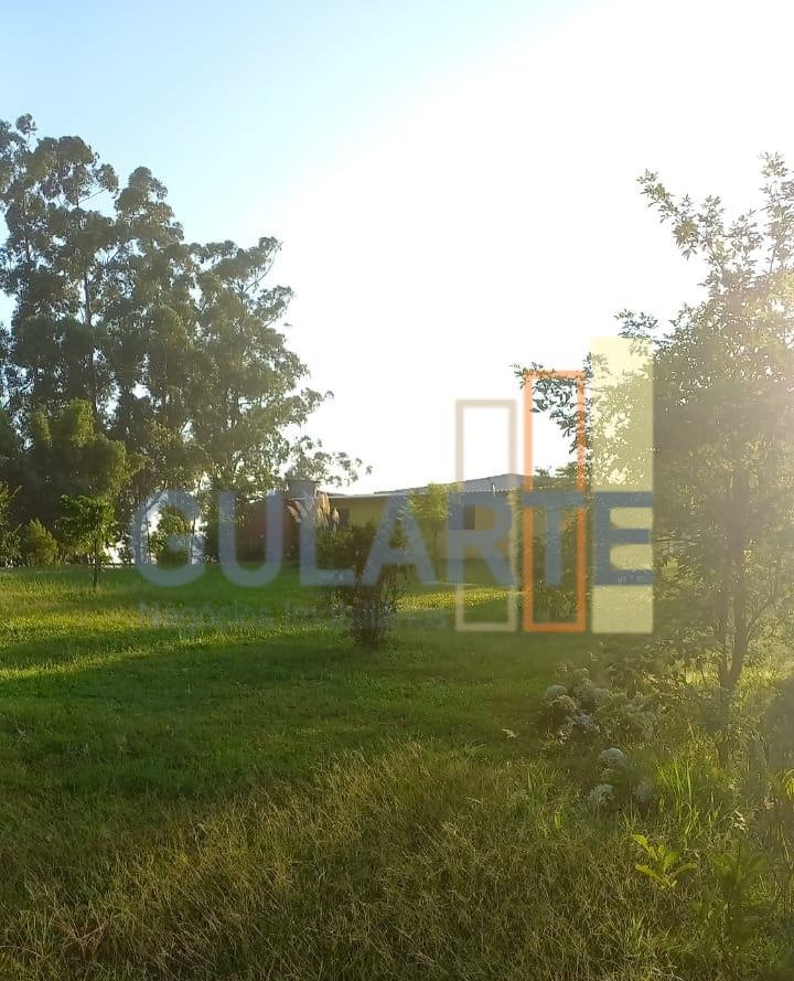 Fazenda à venda, 20m² - Foto 14