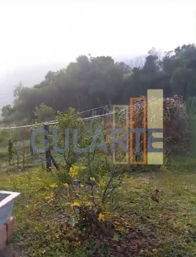 Fazenda à venda, 20m² - Foto 11