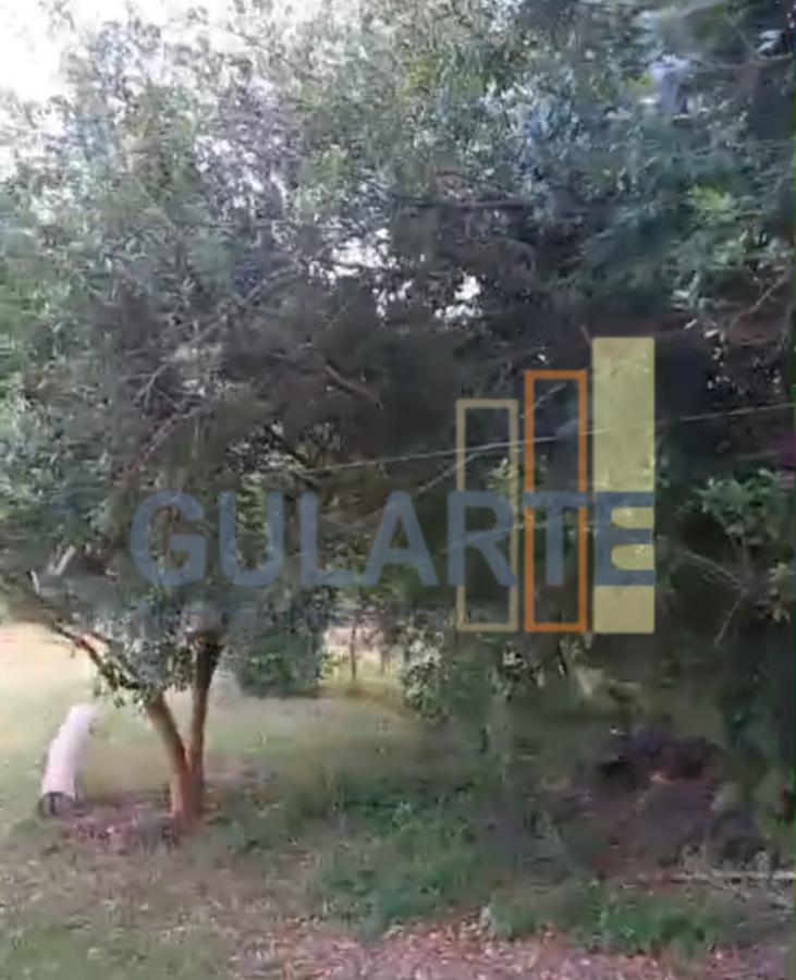 Fazenda à venda, 20m² - Foto 15