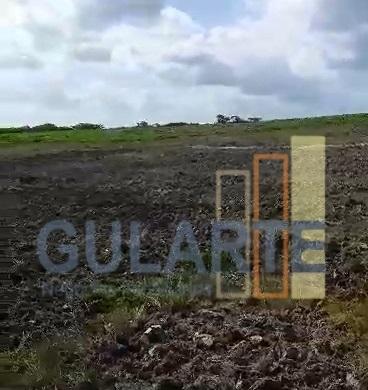 Fazenda, 293 hectares - Foto 1