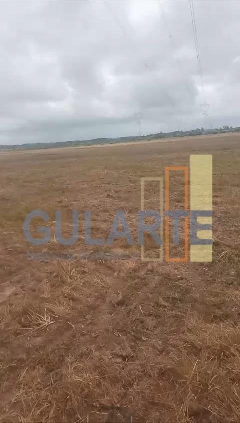 Fazenda, 293 hectares - Foto 3