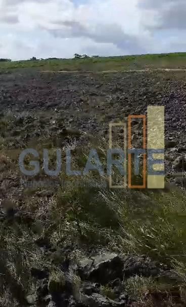 Fazenda, 293 hectares - Foto 8