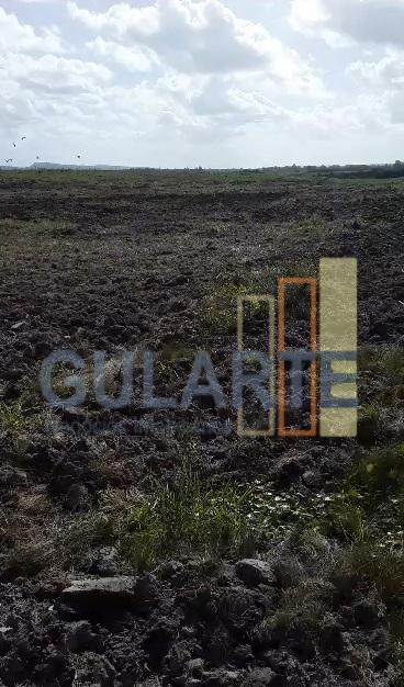 Fazenda, 293 hectares - Foto 6