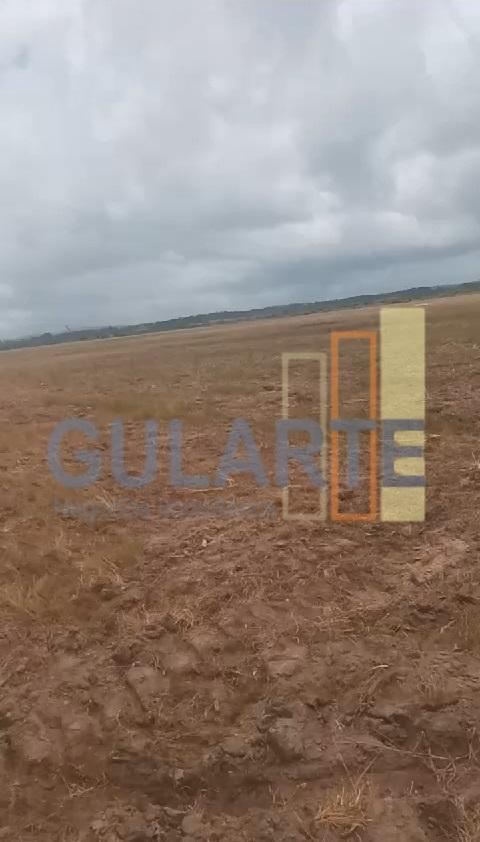 Fazenda, 293 hectares - Foto 4