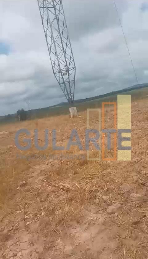 Fazenda, 293 hectares - Foto 5