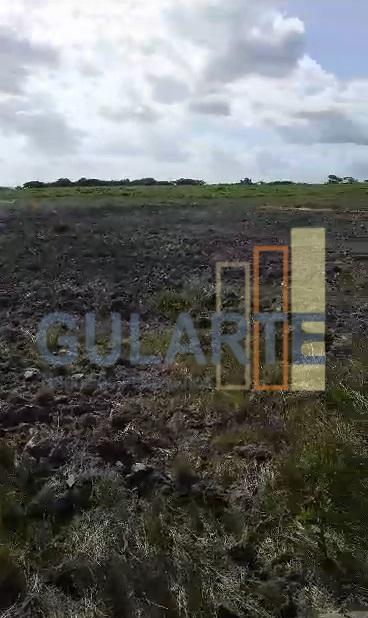 Fazenda, 293 hectares - Foto 7