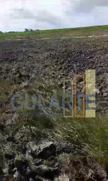 Fazenda, 293 hectares - Foto 9