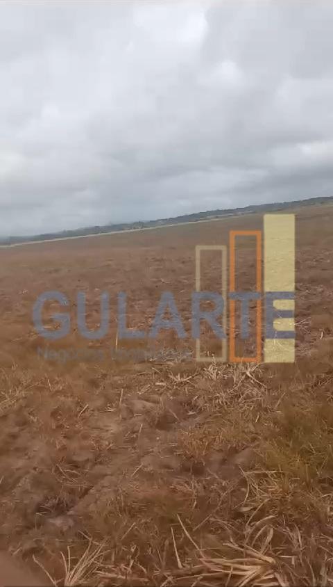 Fazenda, 293 hectares - Foto 2