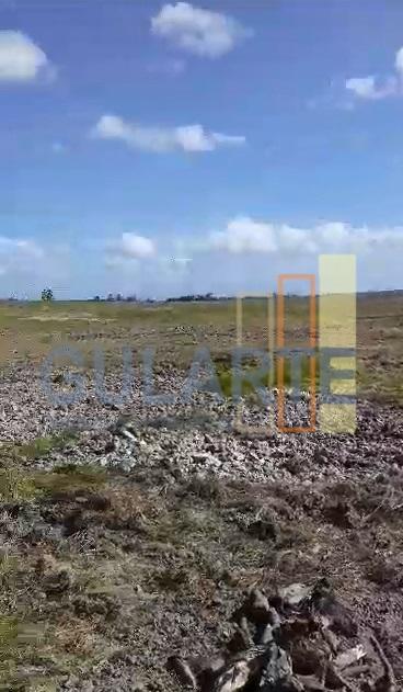 Fazenda, 293 hectares - Foto 11