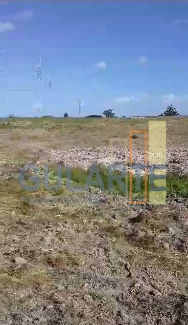 Fazenda, 293 hectares - Foto 12