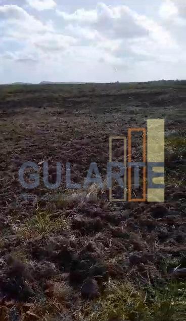 Fazenda, 293 hectares - Foto 10