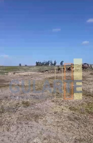 Fazenda, 293 hectares - Foto 13