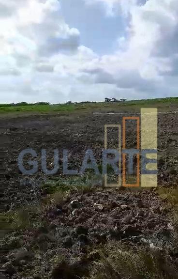 Fazenda, 293 hectares - Foto 15