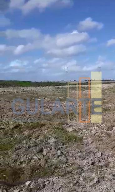 Fazenda, 293 hectares - Foto 14