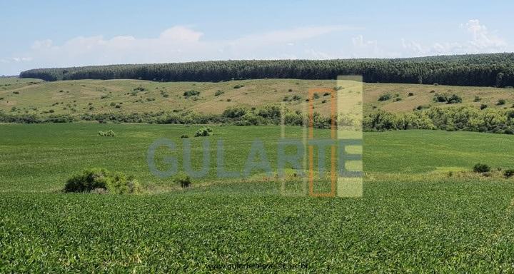 Fazenda à venda, 1800m² - Foto 4