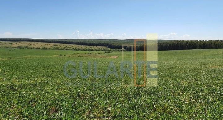 Fazenda à venda, 1800m² - Foto 5