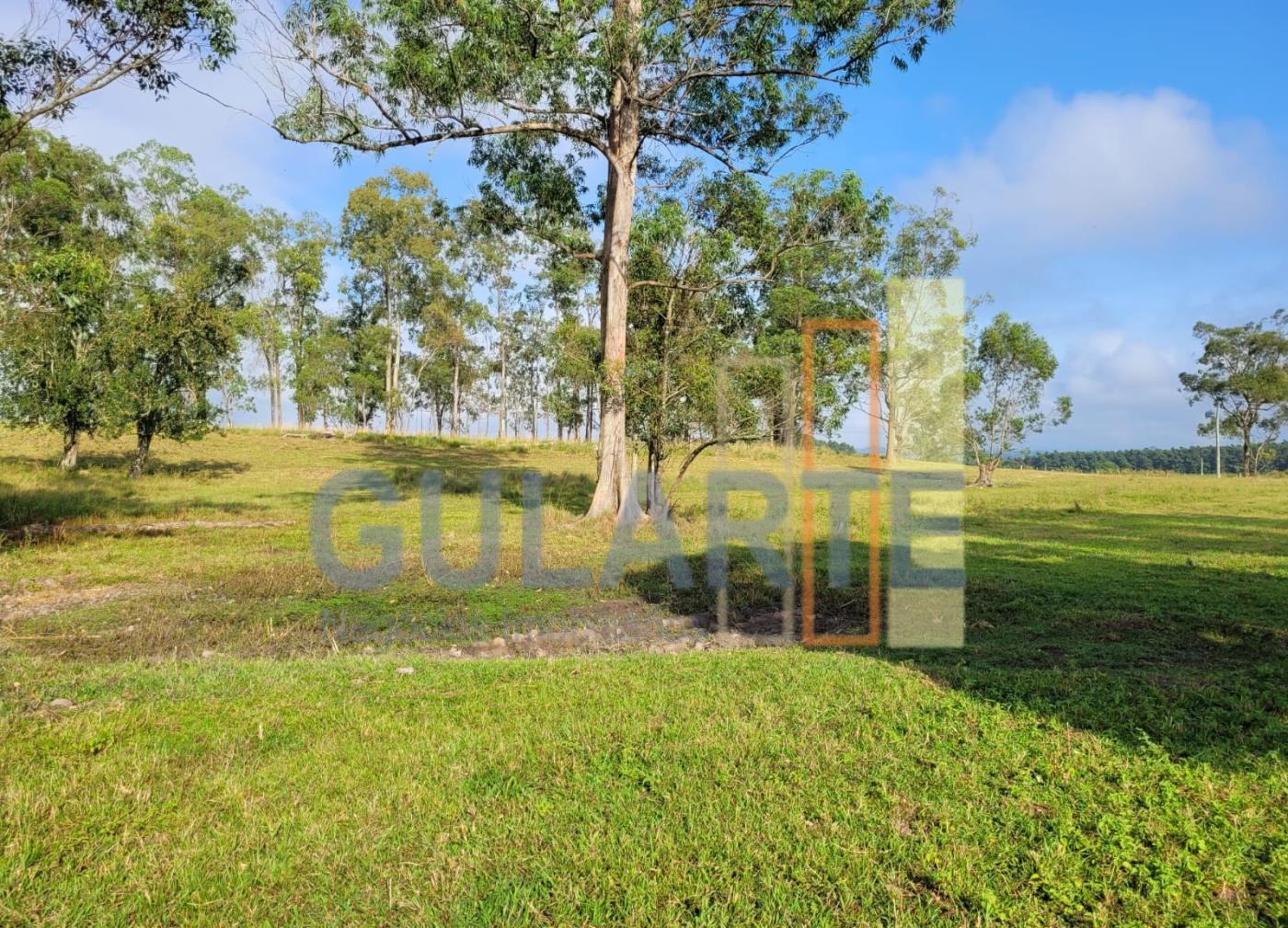 Fazenda, 62 hectares - Foto 3