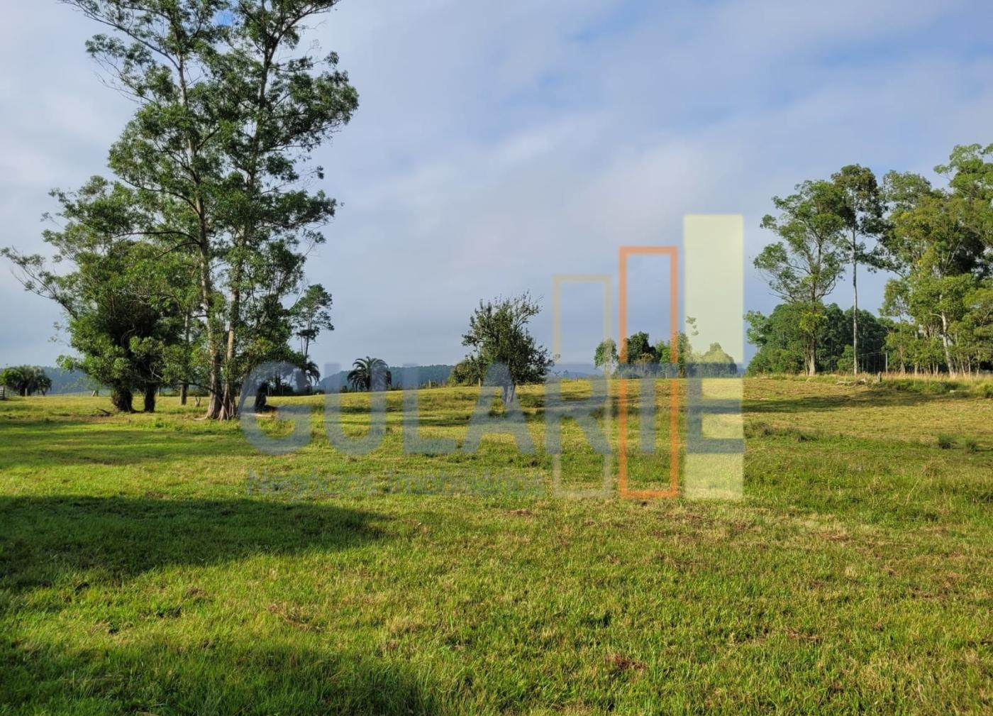 Fazenda, 62 hectares - Foto 2