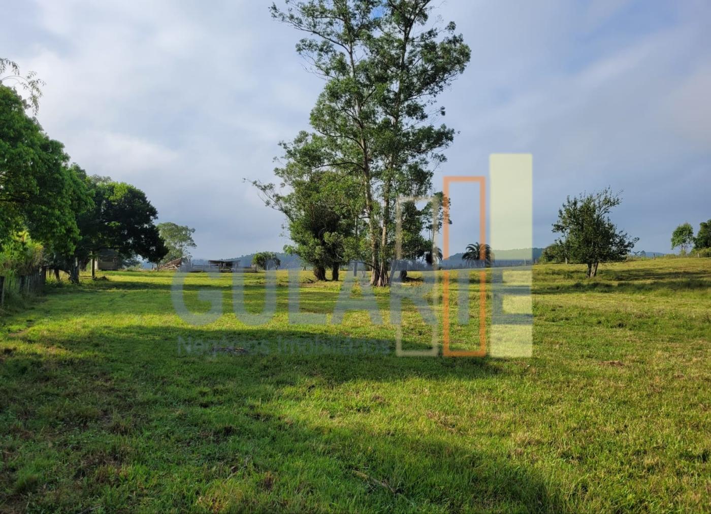 Fazenda, 62 hectares - Foto 4